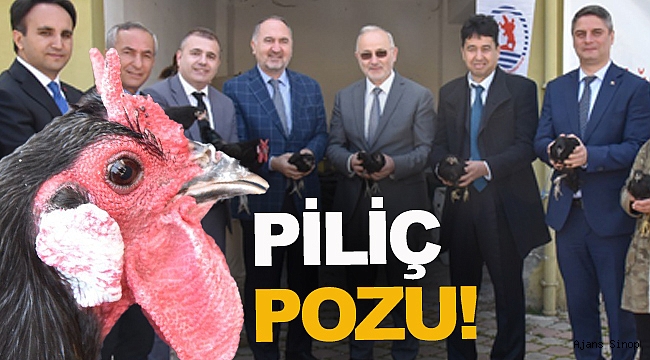 OMÜ projesiyle, Sinop Gerzeli çiftçilere ‘Gerze tavuğu’ dağıtıldı