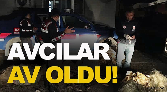 Sinop'ta yasak avcılık yapan iki şahıs 40 kilo sazanla yakalandı