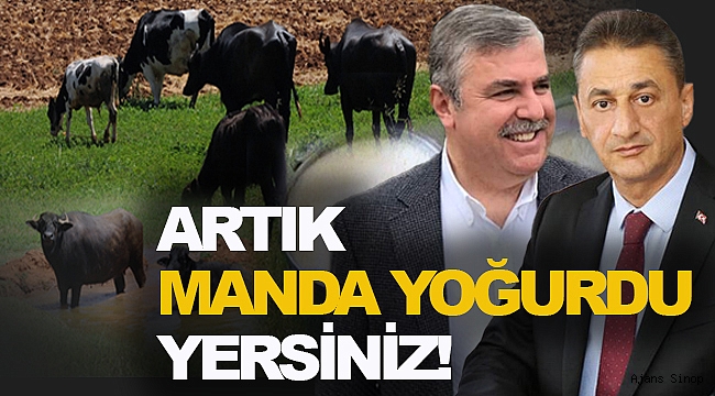 TURİZM TESİSİ YIKIMINA " MANDA YOĞURDU" GÖNDERMESİ!