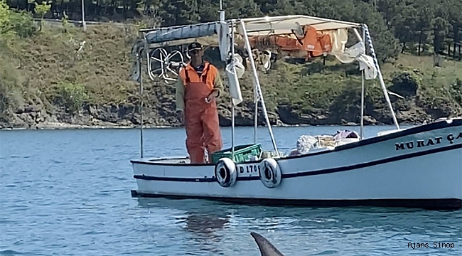 Balıkçı, tekneye yanaşan yunusu besledi