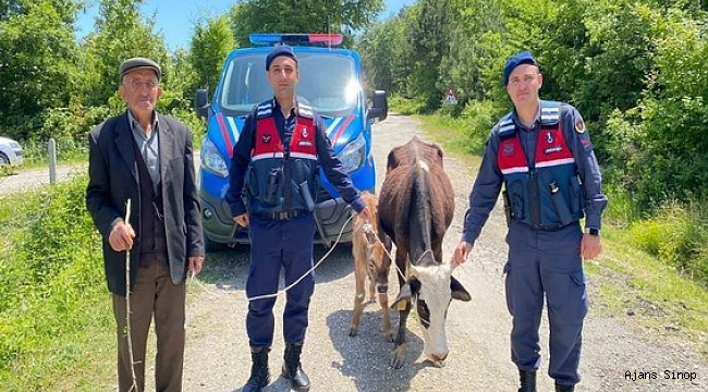 Köylünün kaybolan ineğini jandarma buldu