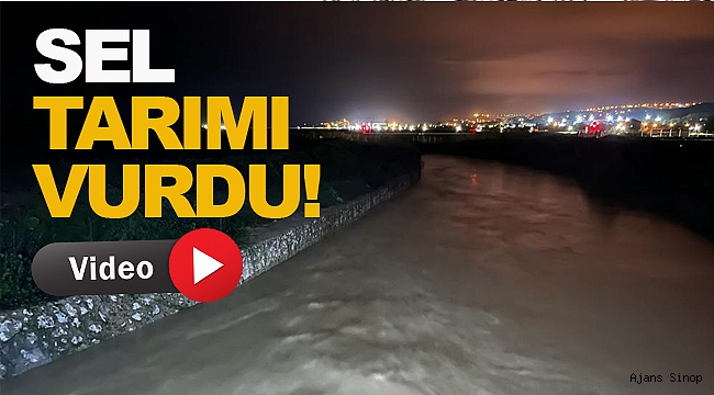  Sinop'ta Karasu çayı taştı, tarım arazileri sular altında kaldı