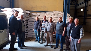 Sinoplu çiftçilere hibe destekli çeltik tohumu dağıtıldı