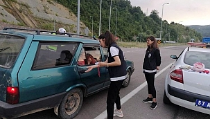 Sinop'a Kurban Bayramı'nda 281 bin araç girdi