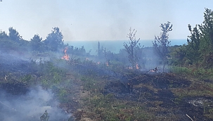 Türkeli'de anız yangını