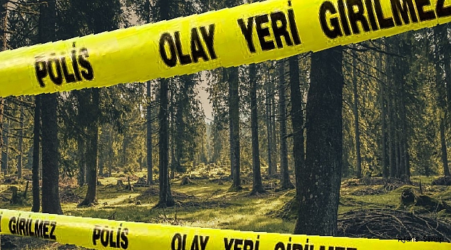 Sinop'ta ormanda erkek cesedi bulundu