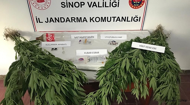 Sinop'ta uyuşturucu operasyonunda 5 kişi yakalandı