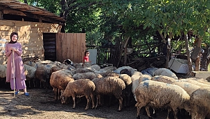 Sinop'ta Uzman Eller projesi başarılı sonuçlandı