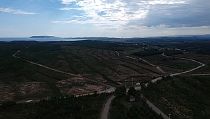 Cumhurbaşkanı'nın işaret ettiği Sinop NGS bölgesi havadan görüntülendi