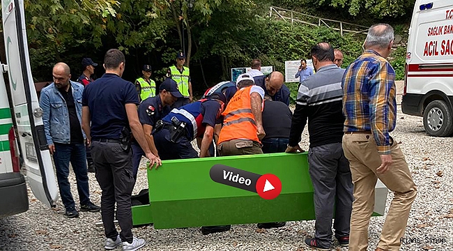 Sinop Erfelek Şelaleleri'nde ağaç devrildi: 2 ölü, 1 yaralı