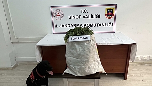 Sinop'ta 2,68 kilo esrar ele geçti: 1 gözaltı