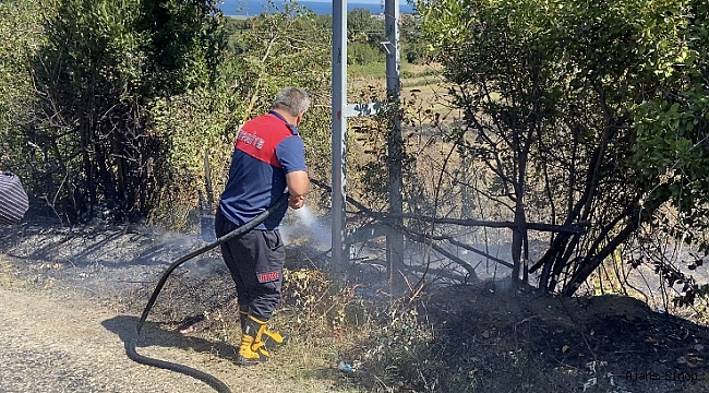 Sinop'ta çıkan ot yangını paniğe neden oldu!