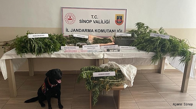 Sinop’ta uyuşturucu operasyonu