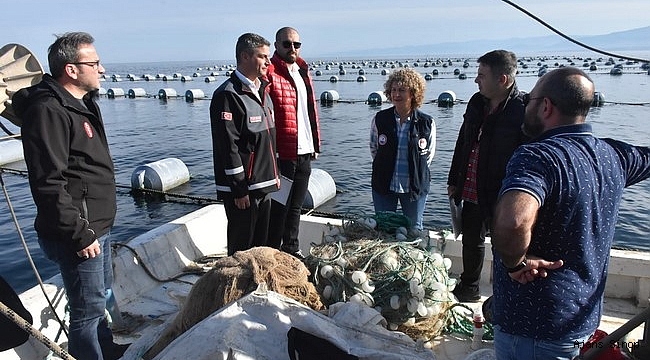 Karadeniz'de ilk defa midye yetiştiriciliği Sinop’ta başladı