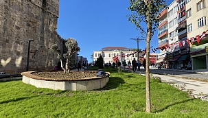 Sinop meydanında peyzaj çalışmaları sürüyor