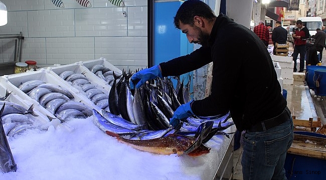 Sinop'ta nadir bulunan 3 kiloluk kırlangıç balığı 700 liraya satılıyor