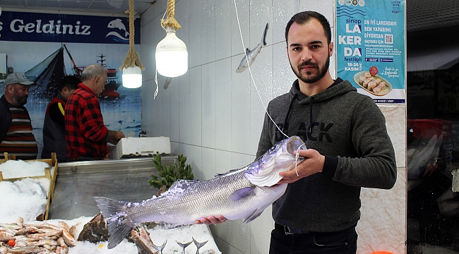 Bu balık tek başına 2 bin 100 lira