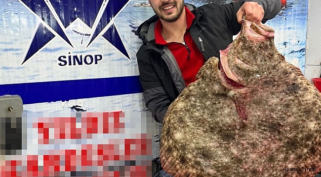 Karadeniz'de Avlanan Dev kalkan Balığı 6 bin TL'ye Satıldı
