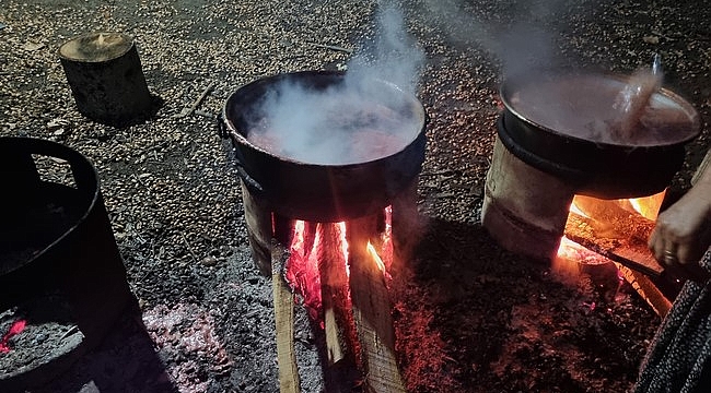 Sinop'ta doğal armut pekmezinin yapımı başlandı