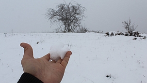 Sinop'a mevsimin ilk karı düştü