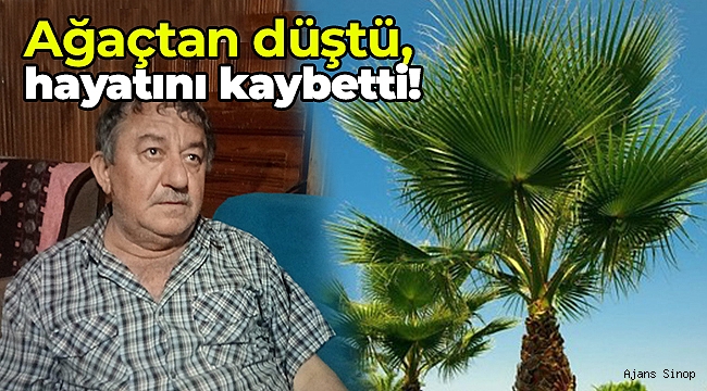 Palmiye ağacından düşen vatandaş hayatını kaybetti