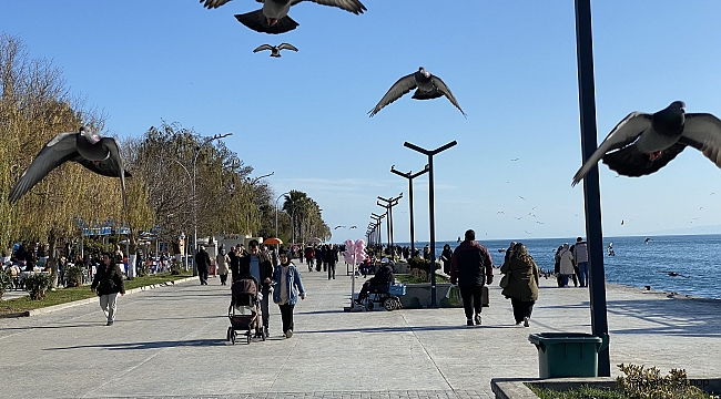 Sinop'ta kış ortasında yaz havası