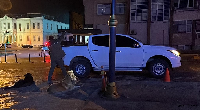 Yaralı halde bulunan martı tedavi altına alındı