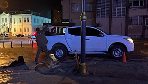 Yaralı halde bulunan martı tedavi altına alındı