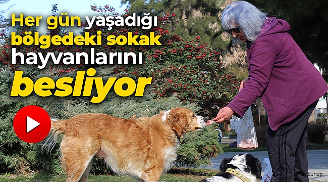 Her gün yaşadığı bölgedeki sokak hayvanlarını besliyor