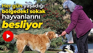 Her gün yaşadığı bölgedeki sokak hayvanlarını besliyor