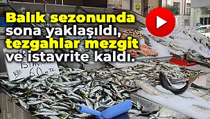 Balık sezonunda sona yaklaşıldı, tezgahlar mezgit ve istavrite kaldı