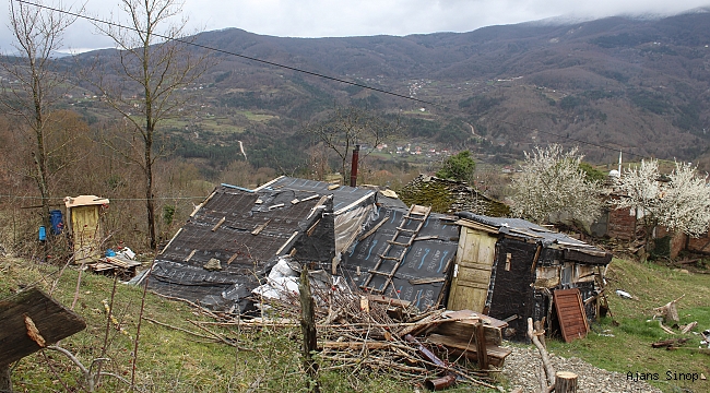 Derme çatma barakada yaşam mücadelesi veriyor