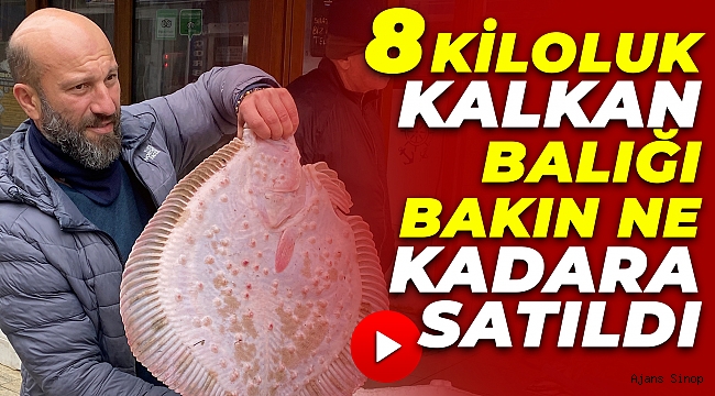 Karadeniz'de avlanan 8 kiloluk kalkan balığı bakın ne kadara satıldı?