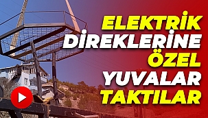 Leylek ölümlerini azaltmak için elektrik direklerine özel yuvalar taktılar