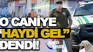 O CANİ HAYDİ'LENDİ!