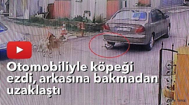 Otomobiliyle köpeği ezdi, arkasına bakmadan uzaklaştı