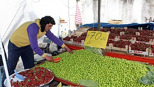 Mevsimin vazgeçilmezi erik, tezgahta 70 liradan satılıyor