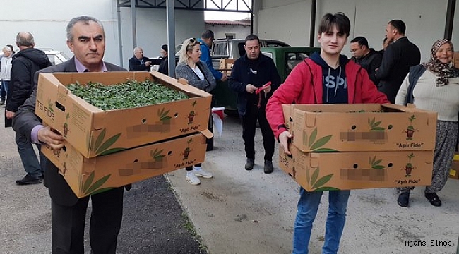 Sinop'ta 530 seracıya 61 bin sebze fidesi dağıtıldı