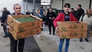 Sinop'ta 530 seracıya 61 bin sebze fidesi dağıtıldı