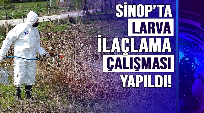Sinop'ta larva oluşabilecek bölgelerde ilaçlama çalışması