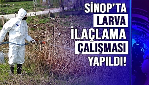 Sinop'ta larva oluşabilecek bölgelerde ilaçlama çalışması