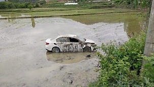 Sinop'ta otomobil çeltik tarlasına uçtu: 1 yaralı