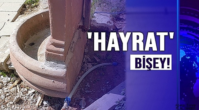 'HAYRAT' BİŞEY!