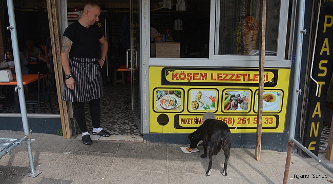 Sinop'ta işletme sahiplerinin sahip çıktığı "Pati" isimli köpek, sadıklığı ve sevecenliğiyle esnafın maskotu oldu.