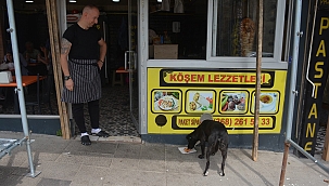 Sinop'ta işletme sahiplerinin sahip çıktığı "Pati" isimli köpek, sadıklığı ve sevecenliğiyle esnafın maskotu oldu.