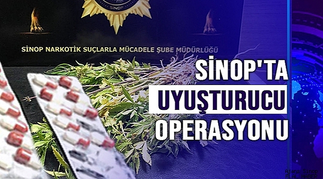 Sinop'ta uyuşturucu operasyonu