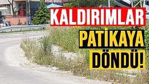 YAYALAR YOLDAN YÜRÜYOR!