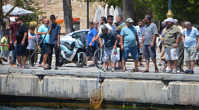 Sinop'ta deniz soğuk yaptı, vatandaşlar balık yakalamak için sahile akın etti