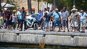 Sinop'ta deniz soğuk yaptı, vatandaşlar balık yakalamak için sahile akın etti