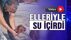 SICAKTAN BUNALAN KÖPEĞE ELLERİYLE SU İÇİRDİ